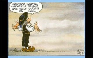 bonne journée a tous